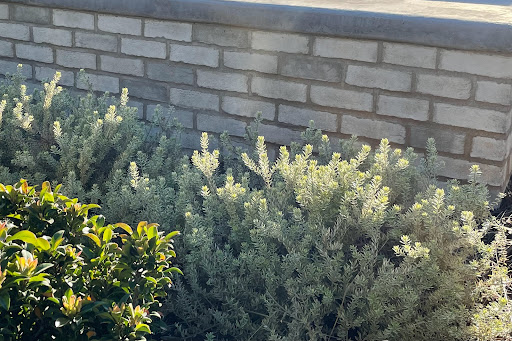 Hughes Landscape Inc. image
