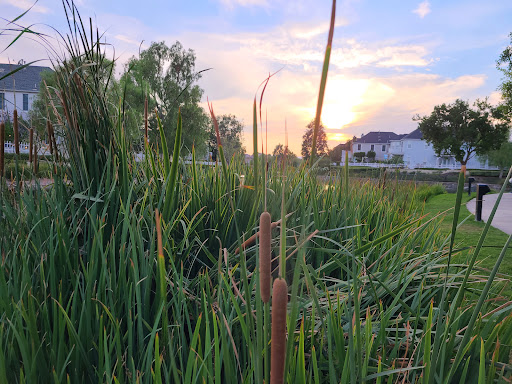 Park «Bridgeport Park», reviews and photos, 23520 Bridgeport Ln, Santa Clarita, CA 91355, USA