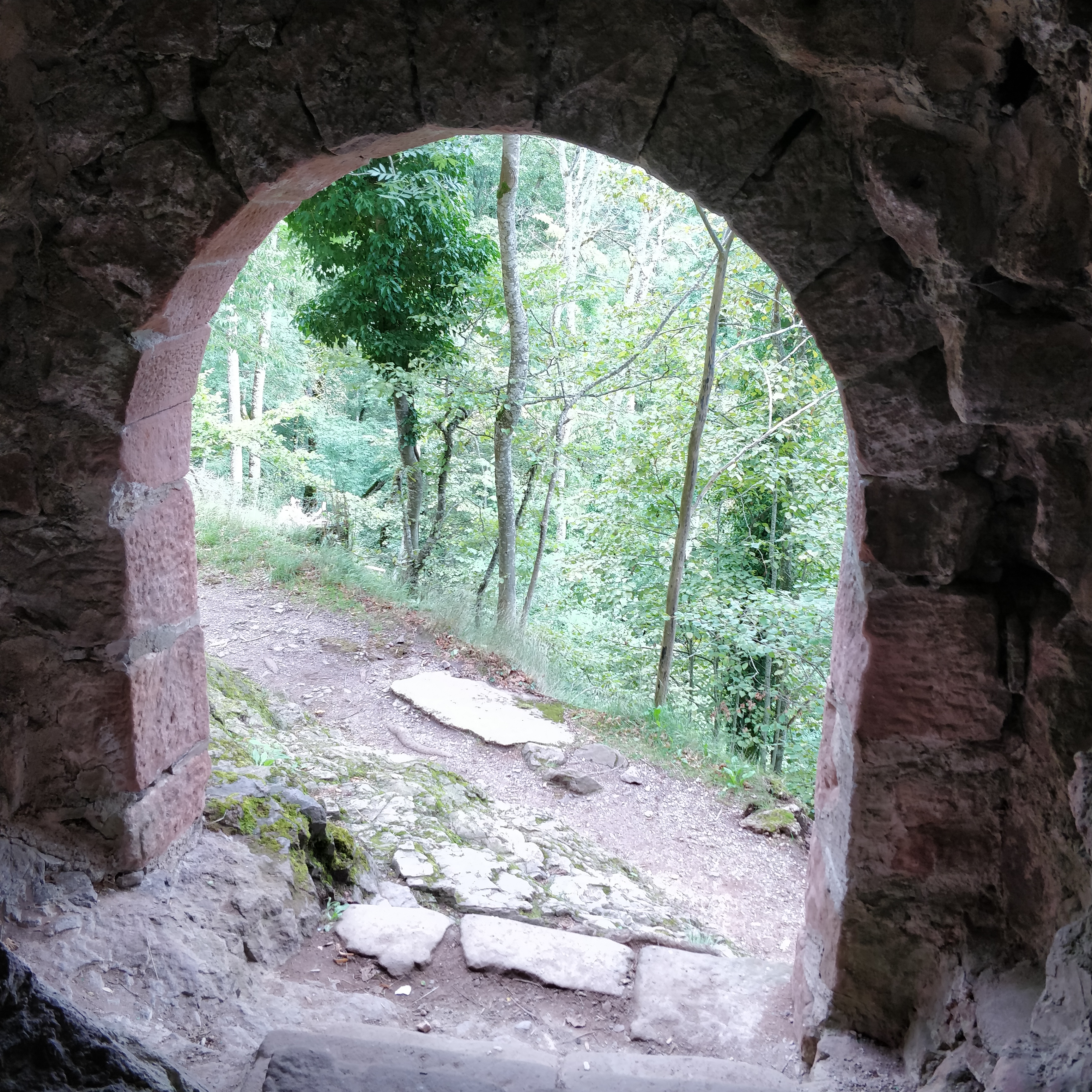 Photo n° 7 de l'avis de Annie.G fait le 25/08/2023 à 06:47