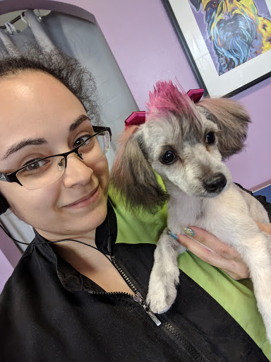 Pet Groomer «Furry Tails Pet Grooming», reviews and photos, 865 Cypress Pkwy, Poinciana, FL 34759, USA