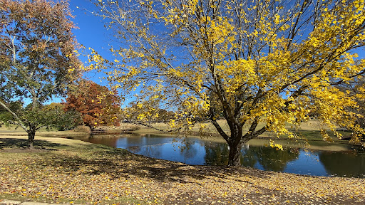 Country Club «Greensboro Country Club», reviews and photos, 410 Sunset Dr, Greensboro, NC 27408, USA