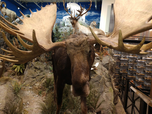 Outdoor Sports Store «Field & Stream», reviews and photos, 520 Clock Tower Way, Crescent Springs, KY 41017, USA