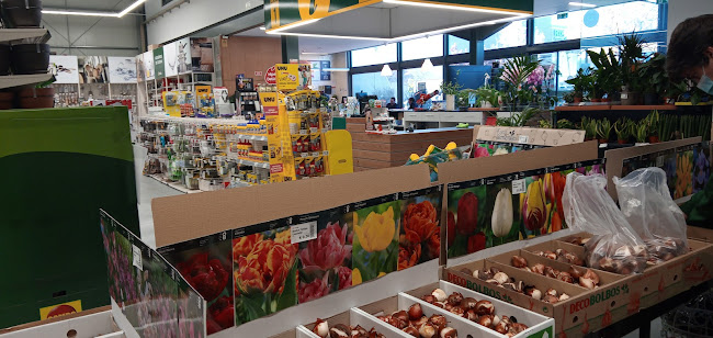 Sittio - Supermercado