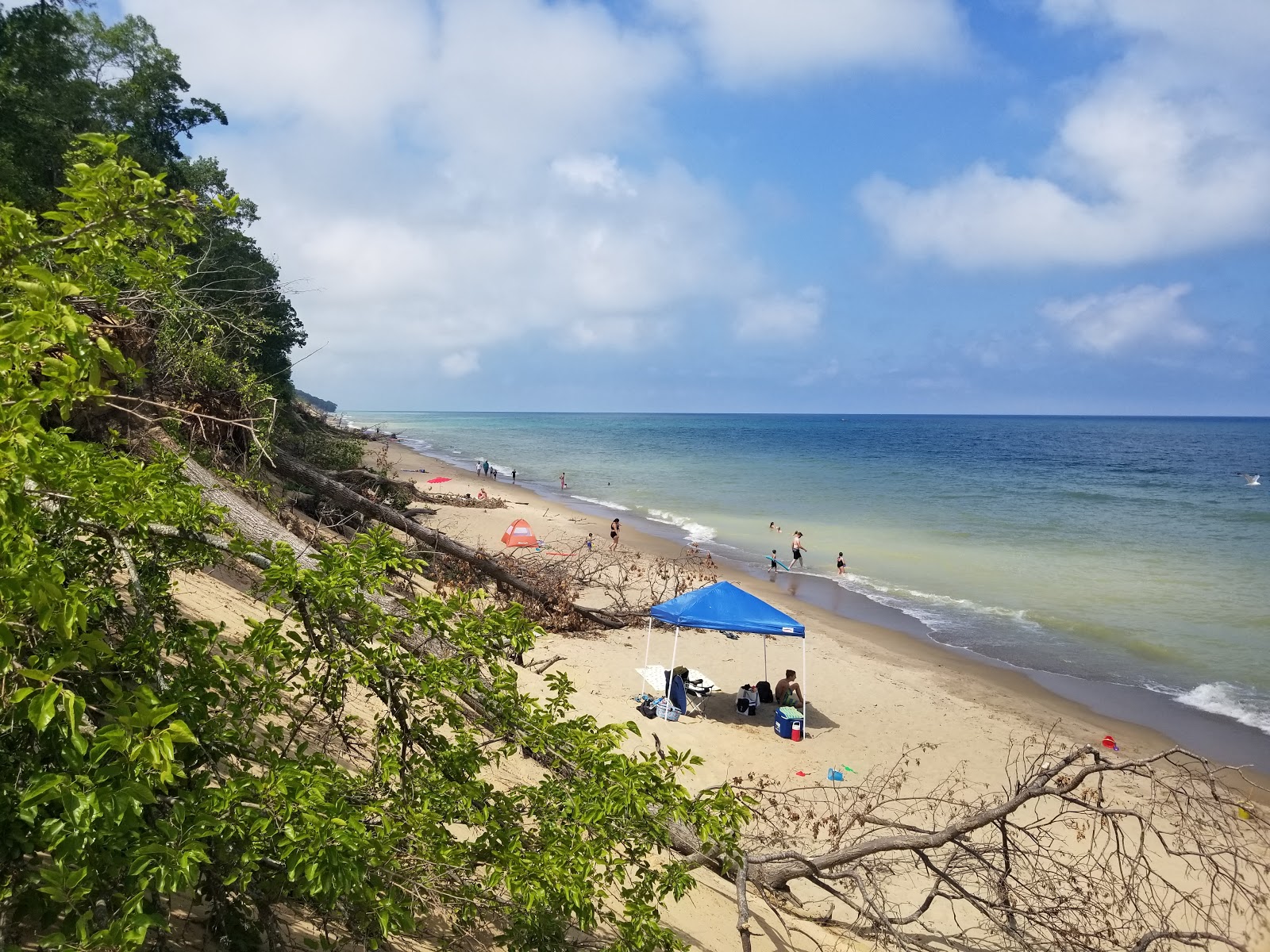 Central Beach'in fotoğrafı doğal alan içinde bulunmaktadır