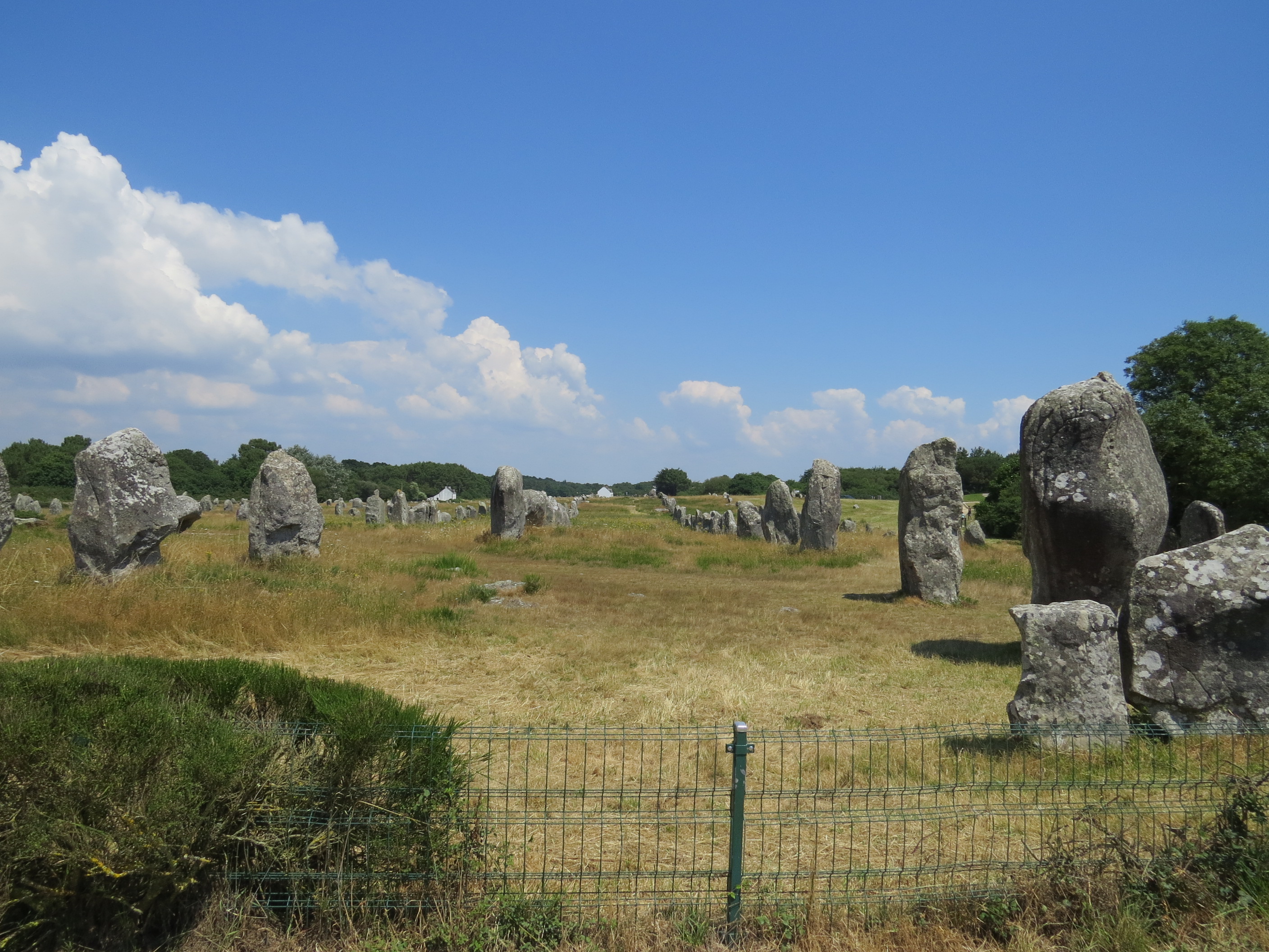 Photo n° 7 de l'avis de C..o fait le 13/08/2019 à 17:00