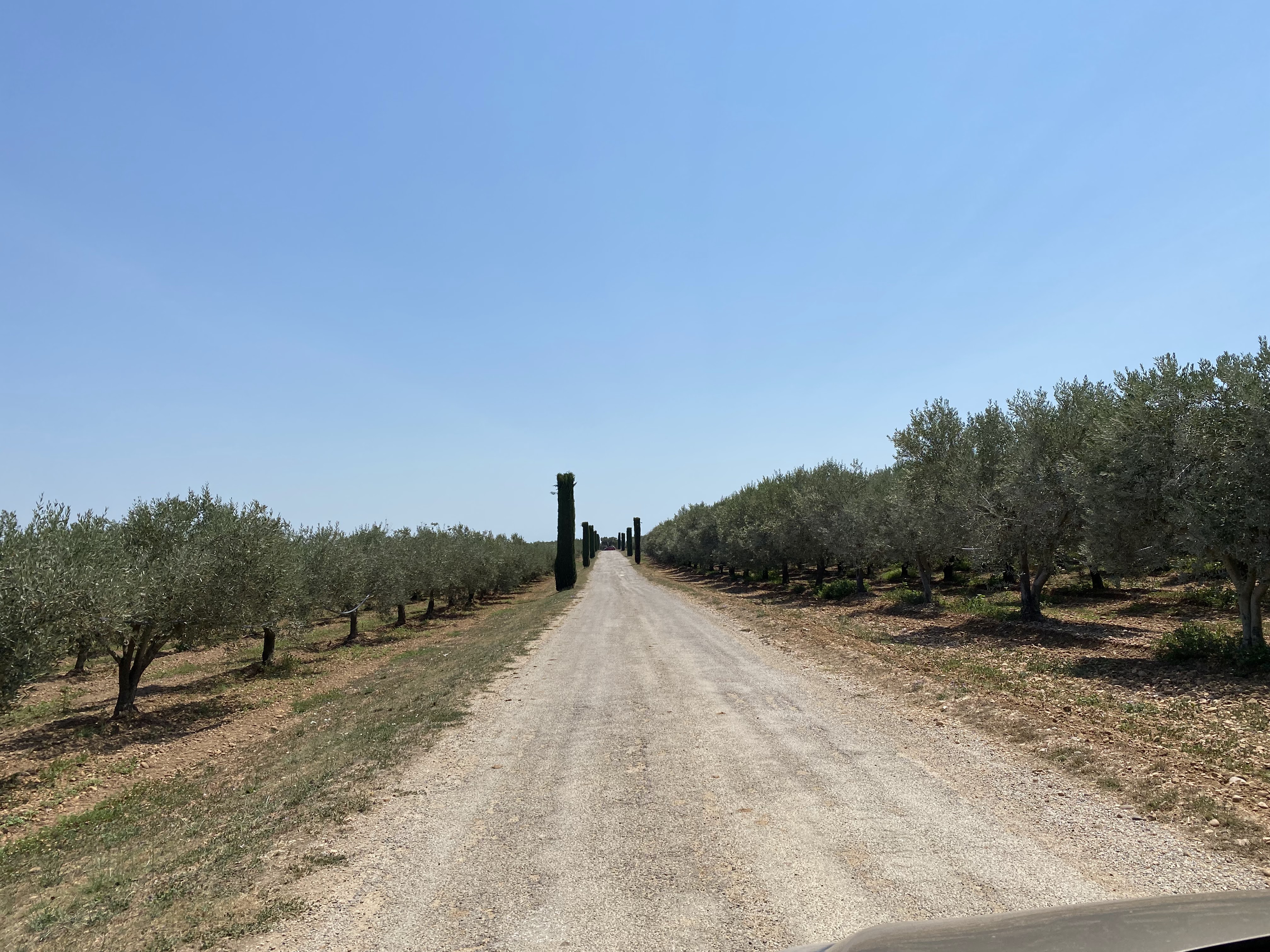Photo n° 1 de l'avis de Laurent.r fait le 20/07/2022 à 22:03
