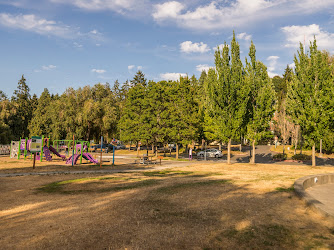 Delridge Playfield