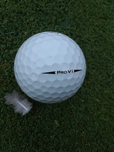 Golf Course «Lakeridge Golf Course», reviews and photos, 1218 Golf Club Dr, Reno, NV 89519, USA