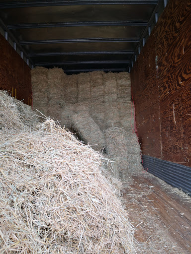 Home Improvement Store «Tractor Supply Co.», reviews and photos, 3826 S Suncoast Blvd, Homosassa, FL 34448, USA