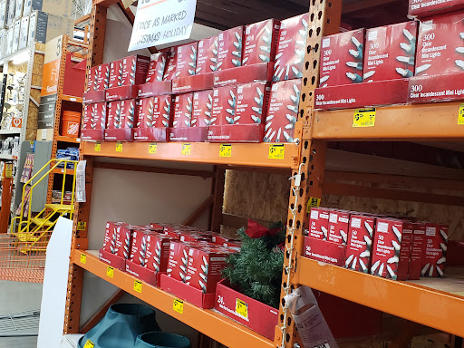 The Home Depot image