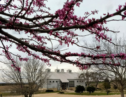 Event Venue «Kairos The Celebration Barn», reviews and photos, 1213 Kott Rd, Fredericksburg, TX 78624, USA