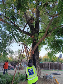 Julius Prevention Company - Photo 4 - Car repair in Merced, CA, Merced