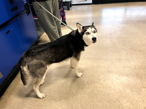 Pet Supply Store «PetSmart», reviews and photos, 208 Mariner Way, Biddeford, ME 04005, USA