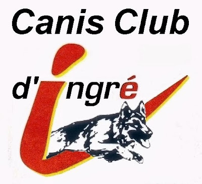 Canis Club d'Ingré à Ingré