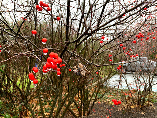 Art Museum «Delaware Art Museum», reviews and photos, 2301 Kentmere Pkwy, Wilmington, DE 19806, USA