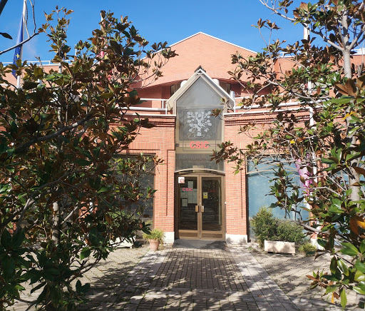 Cajal Institute
