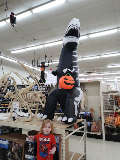 Discount Store «Big Lots», reviews and photos, 4840 Allen Rd, Zephyrhills, FL 33541, USA