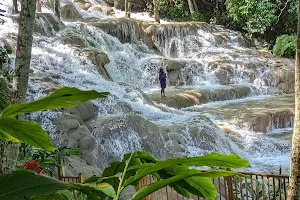 The World Famous Dunn's River Falls & Park image