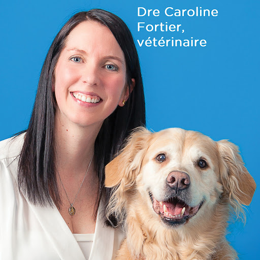 Clinique Vétérinaire Beauce-Appalaches Enr image