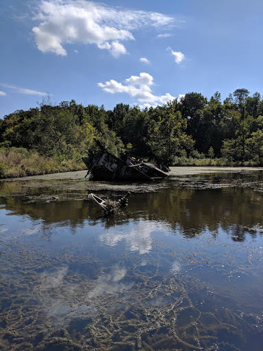 Tourist Attraction «Mallows Bay», reviews and photos, 1440 Wilson Landing Rd, Nanjemoy, MD 20662, USA
