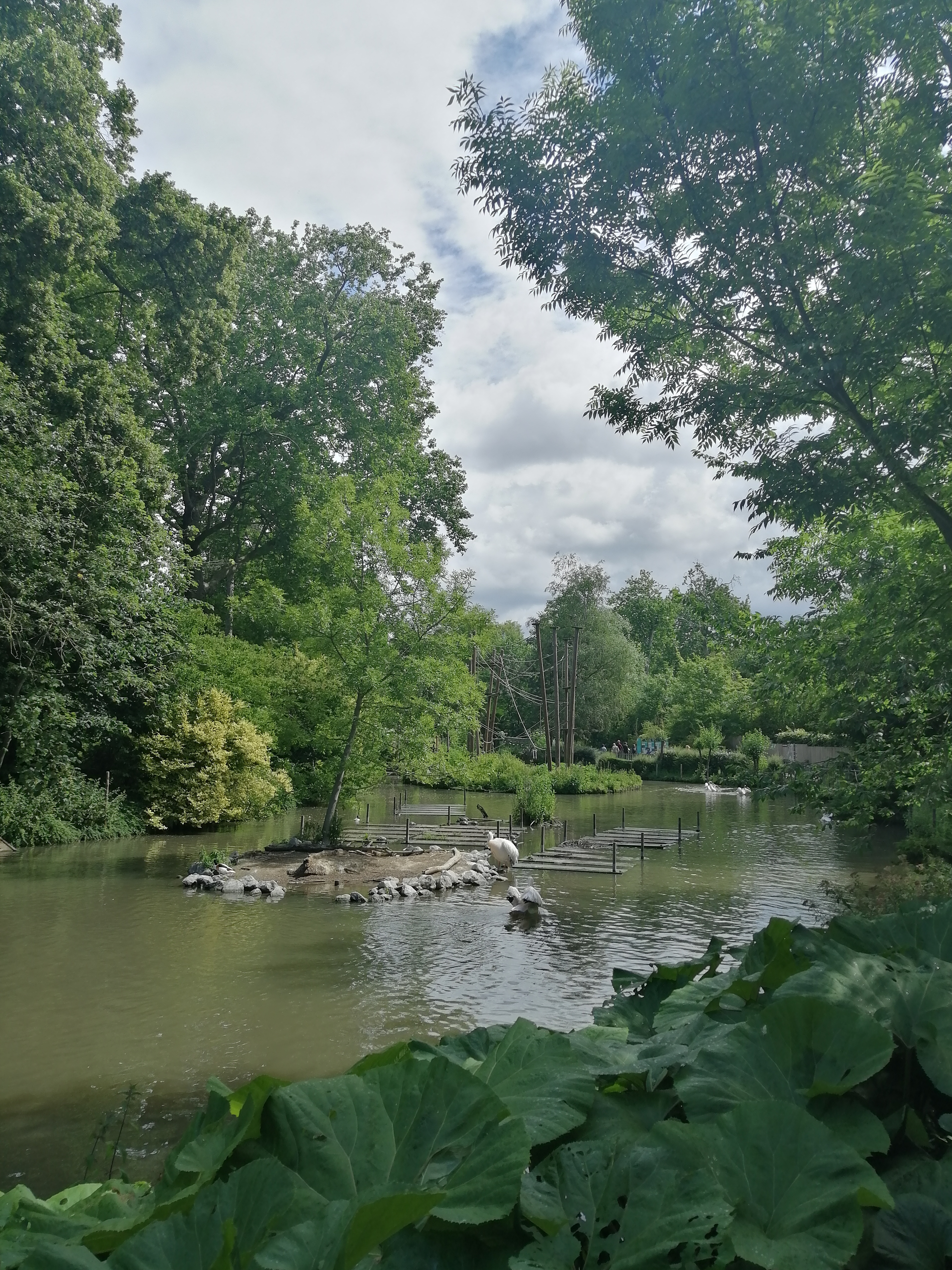 Photo n° 2 de l'avis de Cloé.e fait le 10/06/2022 à 16:07