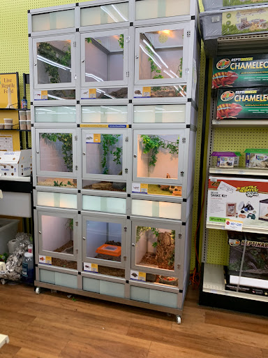 Pet Supply Store «Pet Supermarket», reviews and photos, 1125 Royal Palm Beach Blvd, Royal Palm Beach, FL 33411, USA