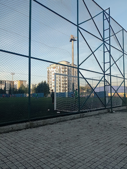 Dolayoba Spor Kulübü Halı Sahaları