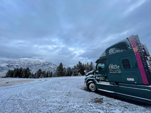 Moving and Storage Service «Gentle Giant Moving Company», reviews and photos, 125 Amaral St, Riverside, RI 02915, USA