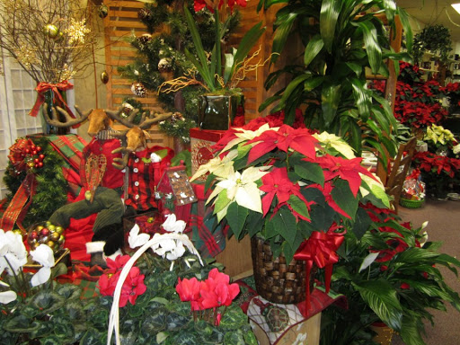 Florist «B & C Hillsborough Florist», reviews and photos, 601 US-206, Hillsborough Township, NJ 08844, USA