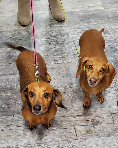 Pet Supply Store «Pet Supermarket, Inc.», reviews and photos, 1052 Peachtree Industrial Blvd, Suwanee, GA 30024, USA