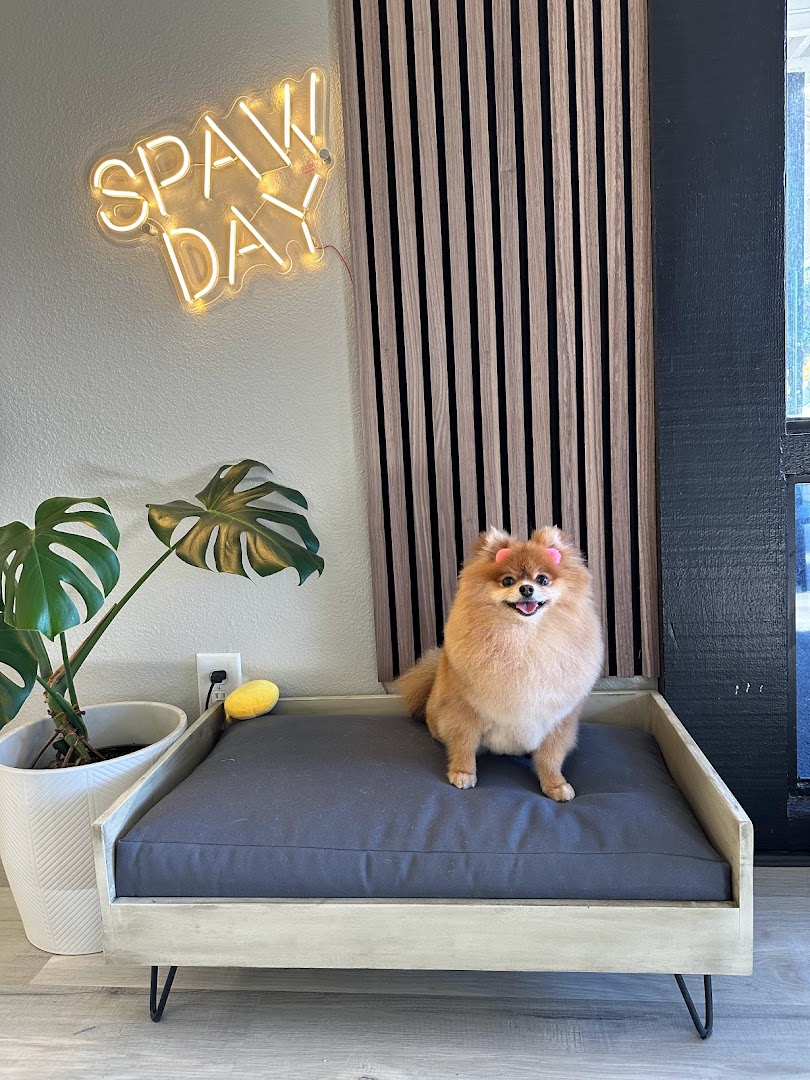 Pawbabies Pet Salon