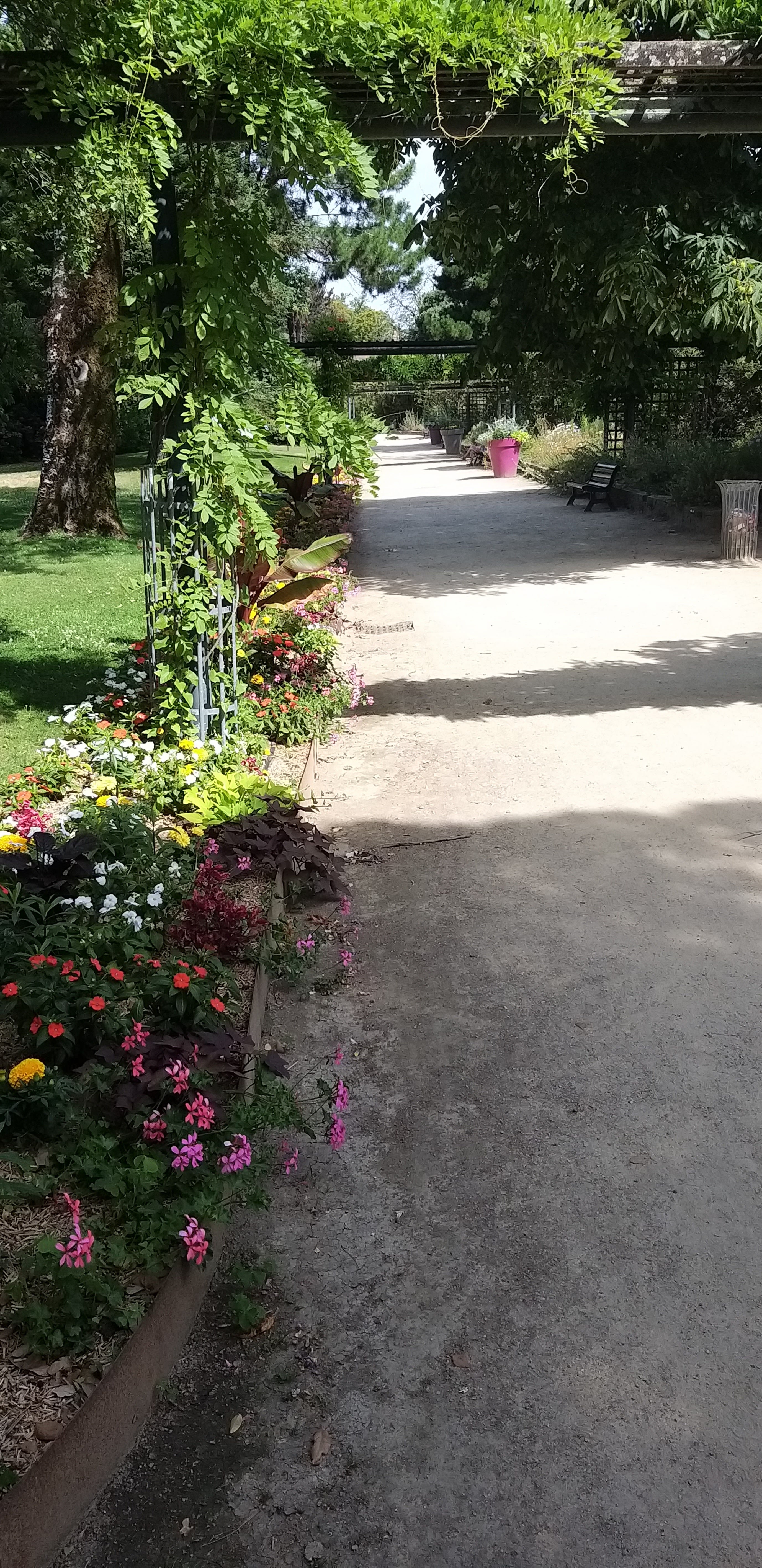 Photo n° 2 de l'avis de Thierry.. fait le 16/07/2022 à 12:05