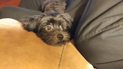 Motorcycle Dealer «Friendly Honda Yamaha», reviews and photos, 10939 Airline Hwy, Baton Rouge, LA 70816, USA