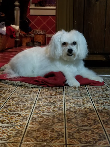 Pet Supply Store «PetSmart», reviews and photos, 5 Hampton House Rd, Newton, NJ 07860, USA