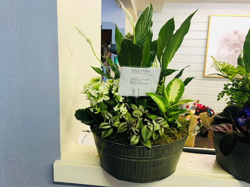 Florist «Flowers To Go», reviews and photos, 3102 Judson St, Gig Harbor, WA 98335, USA