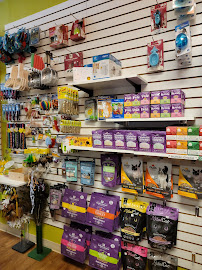 TrailBlazer Pet Supply - Photo 1 - Car repair in Chico, CA, Chico