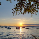 Photo n°2 de l'avis de Giulia. fait le 14/08/2023 à 20:45 sur le  Ristorante Trattoria Da Morano à Montefiascone