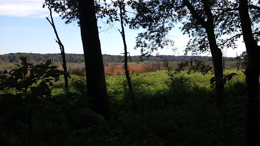 Hiking Area «Cowles Bog Trail», reviews and photos, 1618 N Mineral Springs Rd, Dune Acres, IN 46304, USA