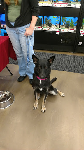Pet Supply Store «Pet Supplies Plus», reviews and photos, 2157 Penfield Rd, Penfield, NY 14526, USA