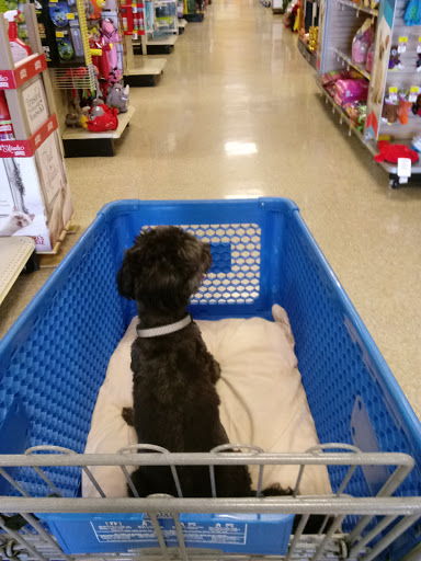 Pet Supply Store «PetSmart», reviews and photos, 263 Midway Blvd, Elyria, OH 44035, USA