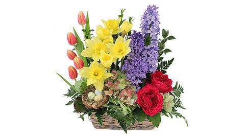 Florist «Flowers By Shirley», reviews and photos, 2200 US-1, St Augustine, FL 32086, USA