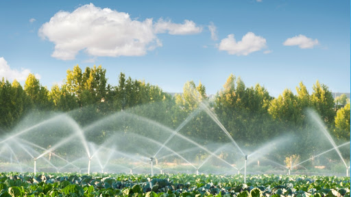 East Coast Irrigation