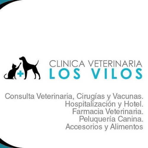 Clinica Veterinaria Los Vilos - Los Vilos