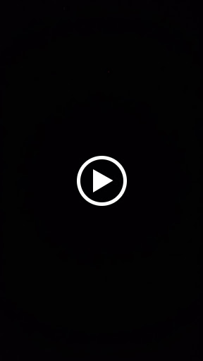 Auto Parts Store «AutoZone», reviews and photos, 14850 E 14th St, San Leandro, CA 94578, USA