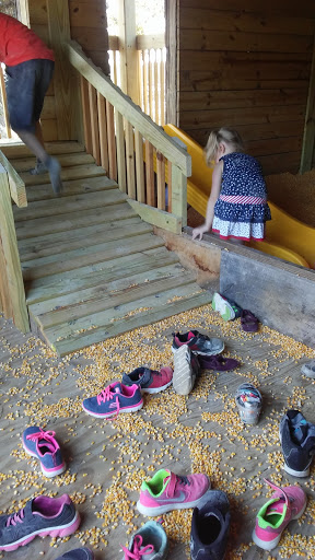 Tourist Attraction «Sugar Hill U-pick Farms», reviews and photos, 3595 Co Rd 59, Verbena, AL 36091, USA