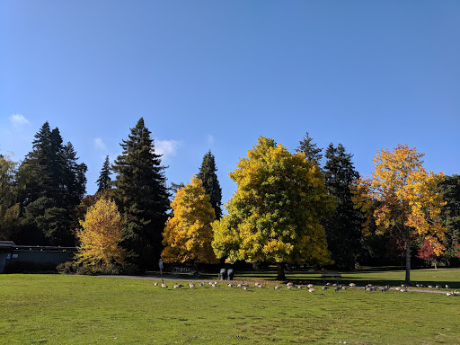 Park «Matthews Beach Park», reviews and photos, 5100 NE 93rd St, Seattle, WA 98115, USA