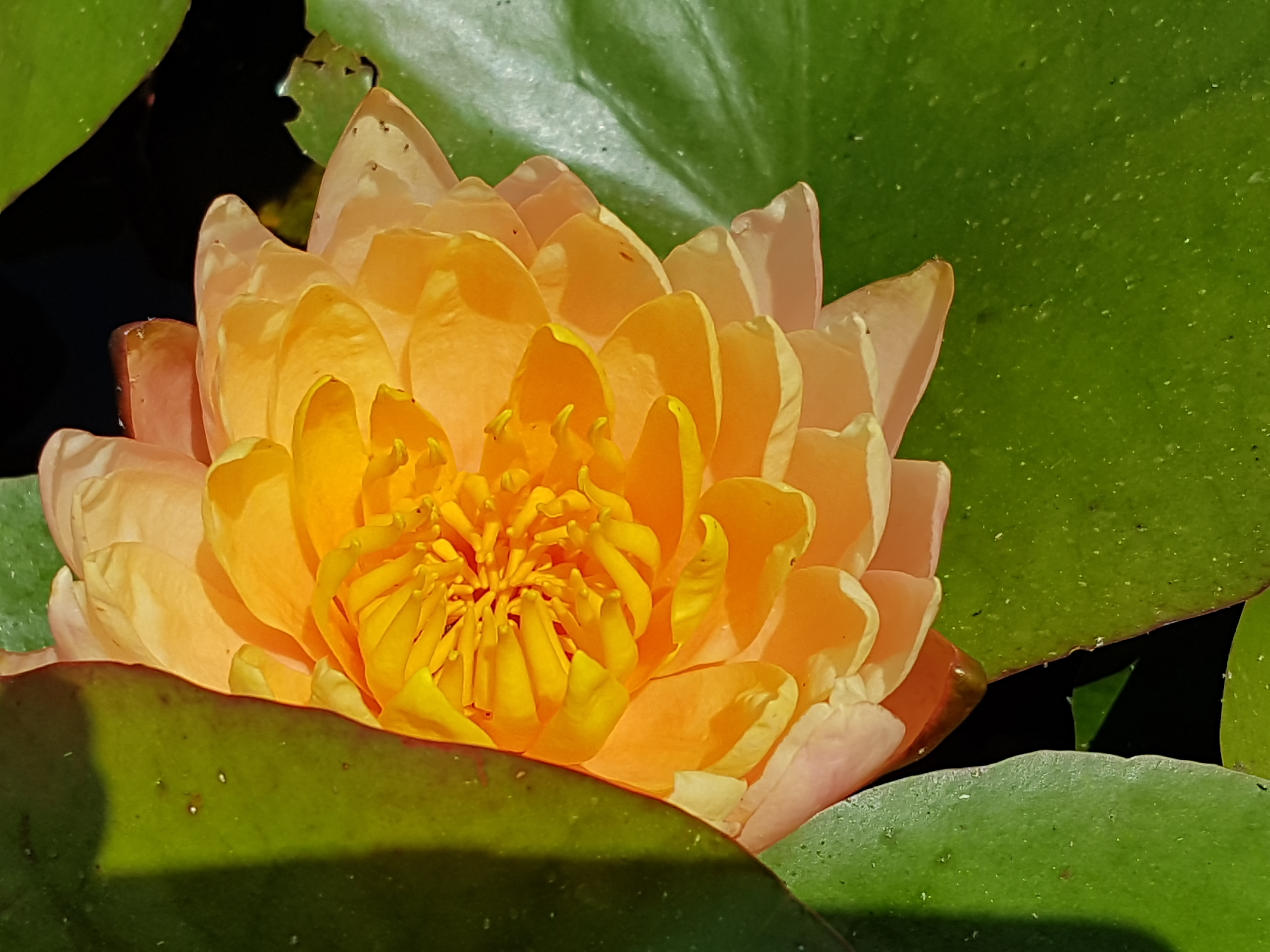 Photo n° 1 de l'avis de amon.o fait le 19/06/2022 à 12:03