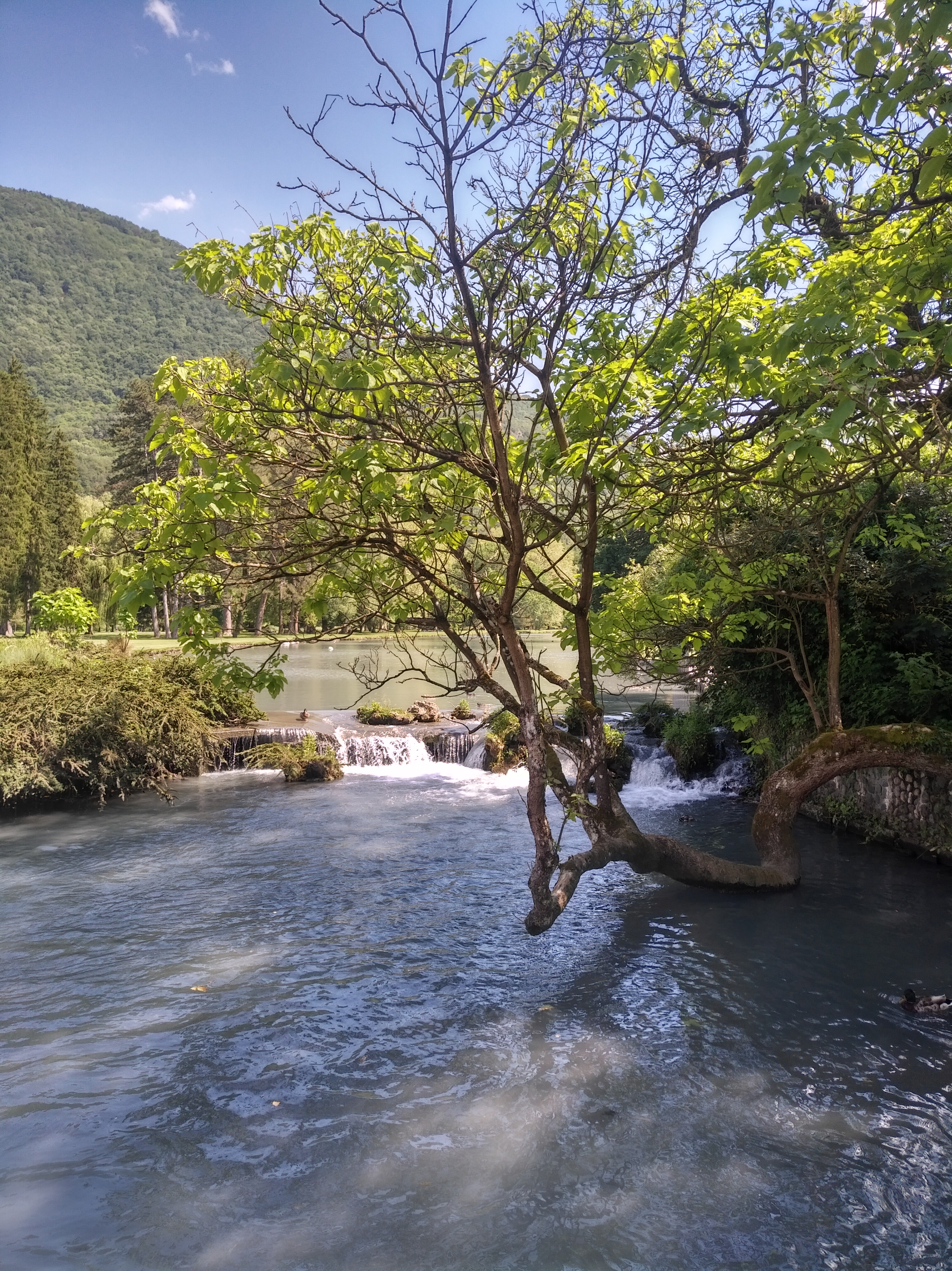 Photo n° 3 de l'avis de Frederic.e fait le 07/06/2019 à 21:39