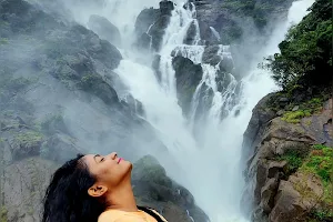 Dudhsagar Waterfall Booking image