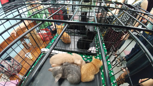 Boutique «Block Party Handmade Boutique», reviews and photos, 560 S 4th St, Louisville, KY 40202, USA